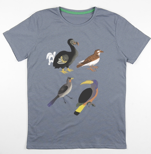 Фотография футболки Средневековые птицы