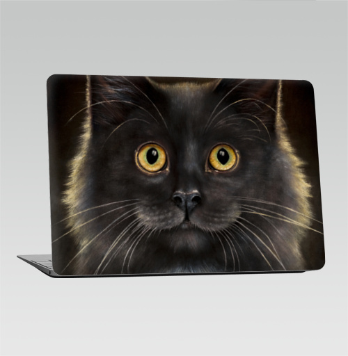 Наклейка на Ноутбук Macbook Air 2018-2020 – Macbook Air Желтоглазый кот,  купить в Москве – интернет-магазин Allskins, милые животные, животные, усы, кошка, глаз