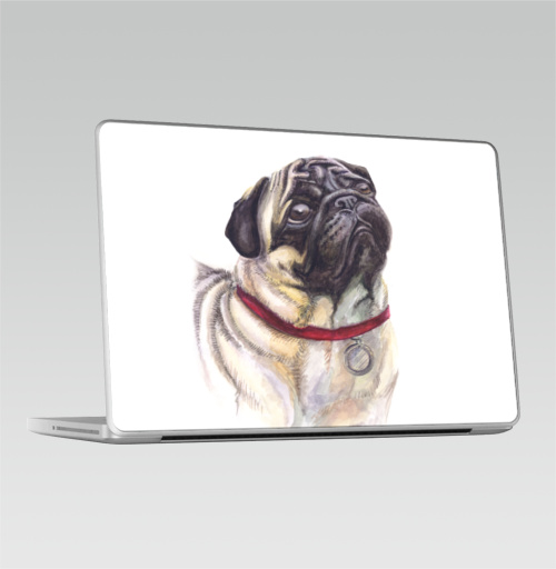 Наклейка на Ноутбук Macbook Pro 2008-2013 – Macbook Pro Мопс смотрит,  купить в Москве – интернет-магазин Allskins, собаки, грустный, смотрит, глаз, Мопс