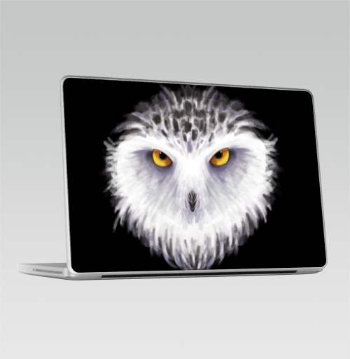 Наклейка на Ноутбук Macbook Pro 2008-2013 – Macbook Pro Зимняя сова,  купить в Москве – интернет-магазин Allskins, птицы, сова