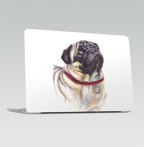 Наклейка на Ноутбук Macbook Pro 2013-2015 – Macbook Retina Pro Мопс смотрит,  купить в Москве – интернет-магазин Allskins, собаки, грустный, смотрит, глаз, Мопс