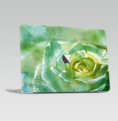 Наклейка на Ноутбук Macbook Pro 2016-2018 – Macbook Pro Touch Bar (с яблоком ) Роуз,  купить в Москве – интернет-магазин Allskins, цветы, роса, акварель, зеленый, свежий