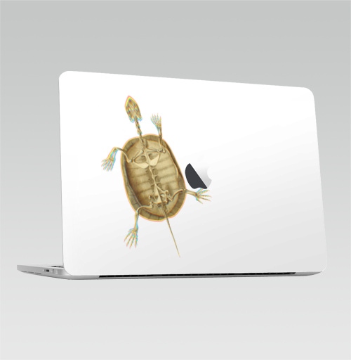 Наклейка на Ноутбук Macbook Pro 2016-2018 – Macbook Pro Touch Bar (с яблоком ) Скелет черепахи,  купить в Москве – интернет-магазин Allskins, скелет, brutal, черепахи, домашний любимец, питомец, череп, жуть, круто