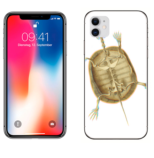 Наклейка на Телефон Apple iPhone 11 Скелет черепахи,  купить в Москве – интернет-магазин Allskins, скелет, brutal, черепахи, домашний любимец, питомец, череп, жуть, круто