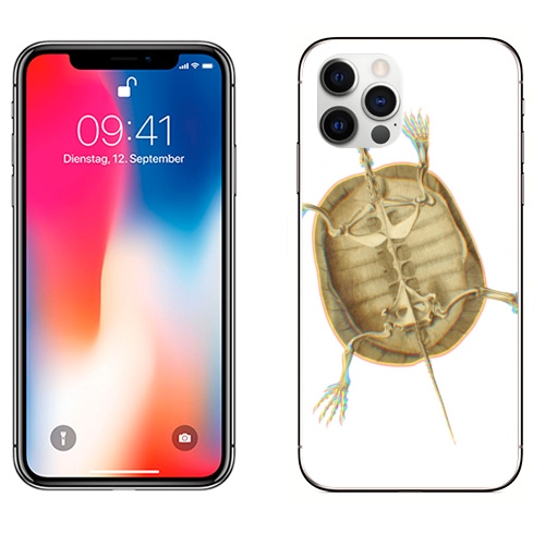 Наклейка на Телефон Apple iPhone 12 PRO Скелет черепахи,  купить в Москве – интернет-магазин Allskins, скелет, brutal, черепахи, домашний любимец, питомец, череп, жуть, круто