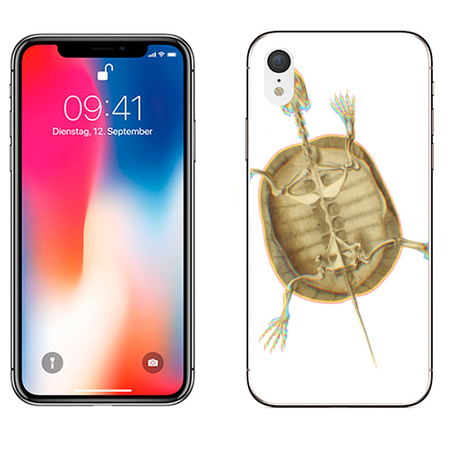Наклейка на Телефон Apple iPhone XR Скелет черепахи,  купить в Москве – интернет-магазин Allskins, скелет, brutal, черепахи, домашний любимец, питомец, череп, жуть, круто