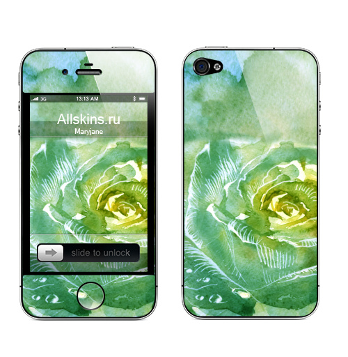 Наклейка на Телефон Apple iPhone 4S, 4 Роуз,  купить в Москве – интернет-магазин Allskins, цветы, роса, акварель, зеленый, свежий