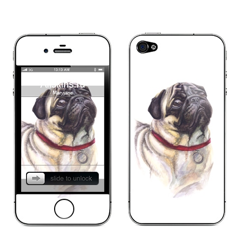 Наклейка на Телефон Apple iPhone 4S, 4 Мопс смотрит,  купить в Москве – интернет-магазин Allskins, собаки, грустный, смотрит, глаз, Мопс