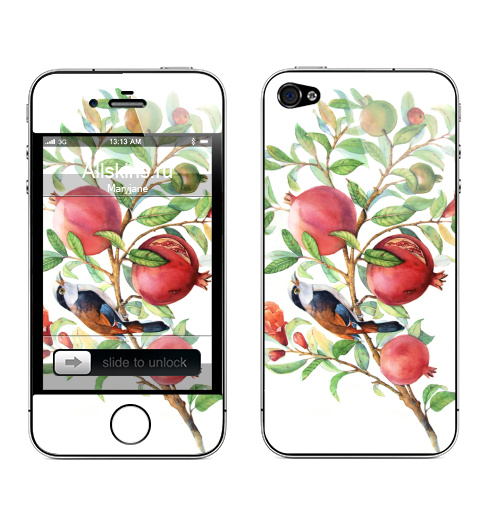 Наклейка на Телефон Apple iPhone 4S, 4 Гранатовая ветвь,  купить в Москве – интернет-магазин Allskins, цветы, птицы, красный, зеленый, гранат, акварель
