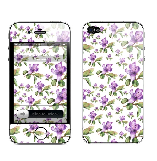 Наклейка на Телефон Apple iPhone 4S, 4 Багульник, ботаническая иллюстрация,  купить в Москве – интернет-магазин Allskins, акварель, ботаническая, иллюстация, цветы, рододендрон, азалия