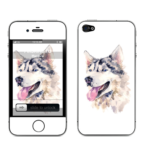 Наклейка на Телефон Apple iPhone 4S, 4 Собака хаски,  купить в Москве – интернет-магазин Allskins, мило, животные, персонажи, собаки, хаски, акварель, детские