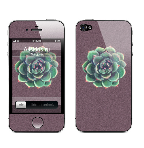Наклейка на Телефон Apple iPhone 4S, 4 Эхеверия бирюзовая,  купить в Москве – интернет-магазин Allskins, суккуленты, суккулент, эхеверия, цветы, Цветочек, зеленый, коричневый