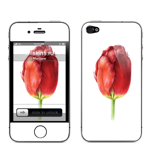 Наклейка на Телефон Apple iPhone 4S, 4 Тюльпан,  купить в Москве – интернет-магазин Allskins, цветы, тюльпан, тюльпаны, растение, красный, весна, весенний