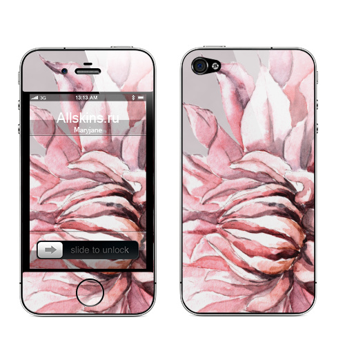 Наклейка на Телефон Apple iPhone 4S, 4 Георгины,  купить в Москве – интернет-магазин Allskins, акварель, пастель, пастельный, пастельные, нежно, розовый, георгин, сиреневый, крупный, запечатка