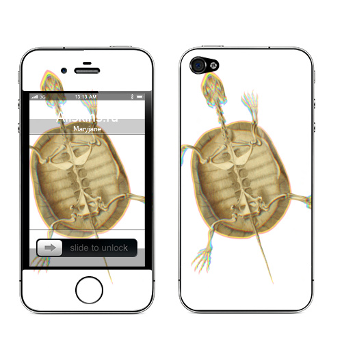 Наклейка на Телефон Apple iPhone 4S, 4 Скелет черепахи,  купить в Москве – интернет-магазин Allskins, скелет, brutal, черепахи, домашний любимец, питомец, череп, жуть, круто