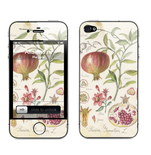 Наклейка на Телефон Apple iPhone 4S, 4 Ботаника.гранат,  купить в Москве – интернет-магазин Allskins, гранат, ботаника, ботаническаяиллюстрация, фрукты, фруктовыйпринь