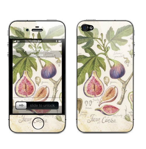 Наклейка на Телефон Apple iPhone 4S, 4 Инжир.ботаника,  купить в Москве – интернет-магазин Allskins, инжир, ботаника, ботаническаяиллюстрация