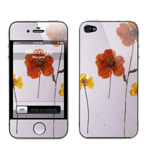 Наклейка на Телефон Apple iPhone 4S, 4 Ромашки,  купить в Москве – интернет-магазин Allskins, цветы, ромашки, фотография, натуральное, без фотошопа