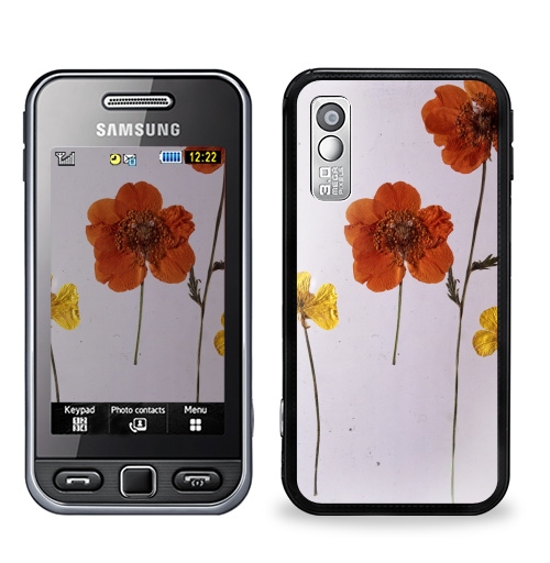 Наклейка на Телефон Samsung GT-S5230 Star Ромашки,  купить в Москве – интернет-магазин Allskins, цветы, ромашки, фотография, натуральное, без фотошопа