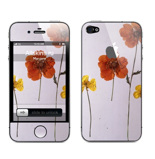 Наклейка на Телефон Apple iPhone 4S, 4 (с яблоком) Ромашки,  купить в Москве – интернет-магазин Allskins, цветы, ромашки, фотография, натуральное, без фотошопа