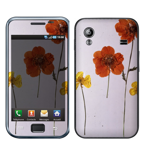 Наклейка на Телефон Samsung Galaxy Ace (S5830) Ромашки,  купить в Москве – интернет-магазин Allskins, цветы, ромашки, фотография, натуральное, без фотошопа