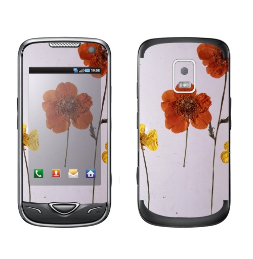 Наклейка на Телефон Samsung B7722 Ромашки,  купить в Москве – интернет-магазин Allskins, цветы, ромашки, фотография, натуральное, без фотошопа