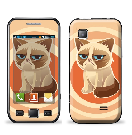 Наклейка на Телефон Samsung Wave (S5250) Сурове, грустне, котячне,  купить в Москве – интернет-магазин Allskins, милые животные, 300 Лучших работ, любовь, кошка, персонажи, женские