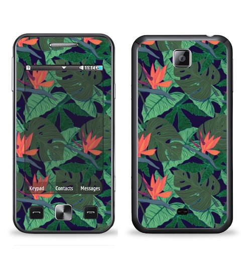 Наклейка на Телефон Samsung C6712 Star 2 Duos Тропический паттерн,  купить в Москве – интернет-магазин Allskins, сочный, монстера, птицы, рай, цветы, текстура, паттерн, джунгли, тропики