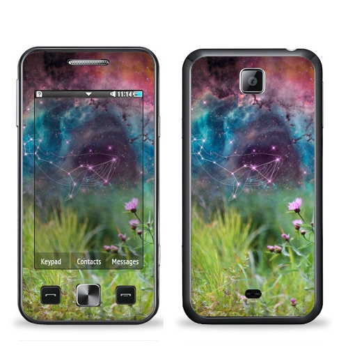 Наклейка на Телефон Samsung C6712 Star 2 Duos Сон про кита и васильки,  купить в Москве – интернет-магазин Allskins, сон, васильки, фантазия, мечта, природа, галактика, цветы, киты, космос