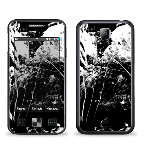 Наклейка на Телефон Samsung C6712 Star 2 Duos Растительное,  купить в Москве – интернет-магазин Allskins, черно-белое, лесной, природа, листья, Темная, черный, графика, растительный, растение
