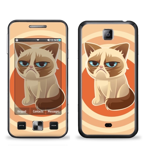 Наклейка на Телефон Samsung C6712 Star 2 Duos Сурове, грустне, котячне,  купить в Москве – интернет-магазин Allskins, милые животные, 300 Лучших работ, любовь, кошка, персонажи, женские