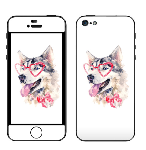 Наклейка на Телефон Apple iPhone 5 Модная собака,  купить в Москве – интернет-магазин Allskins, крутые животные, милые животные, мило, хаски, розовый, очки, акварель, собаки, детские