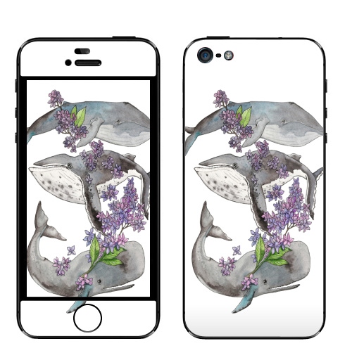Наклейка на Телефон Apple iPhone 5 Весенние киты,  купить в Москве – интернет-магазин Allskins, киты, акварель, цветы
