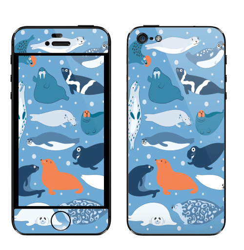 Наклейка на Телефон Apple iPhone 5 Ластоногие,  купить в Москве – интернет-магазин Allskins, мимими, веселый, забавный, тюлень, тюлени, морж, белёк, голубой, морская