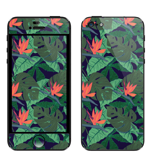Наклейка на Телефон Apple iPhone 5 Тропический паттерн,  купить в Москве – интернет-магазин Allskins, сочный, монстера, птицы, рай, цветы, текстура, паттерн, джунгли, тропики