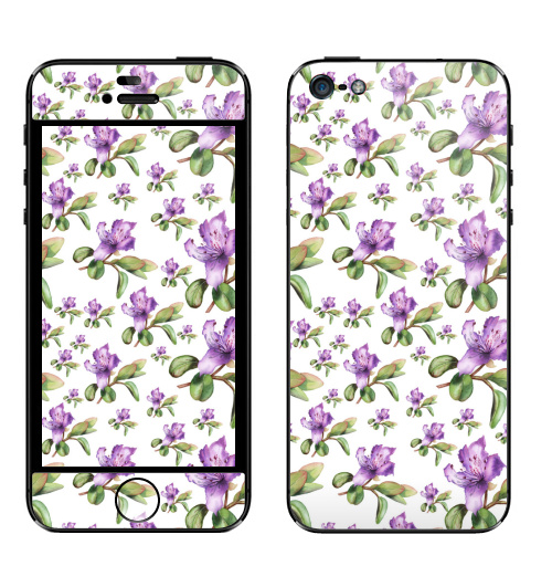 Наклейка на Телефон Apple iPhone 5 Багульник, ботаническая иллюстрация,  купить в Москве – интернет-магазин Allskins, акварель, ботаническая, иллюстация, цветы, рододендрон, азалия
