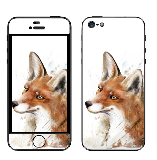Наклейка на Телефон Apple iPhone 5 Рыжая лиса,  купить в Москве – интернет-магазин Allskins, лиса, природа, оранжевый, акварель, животные