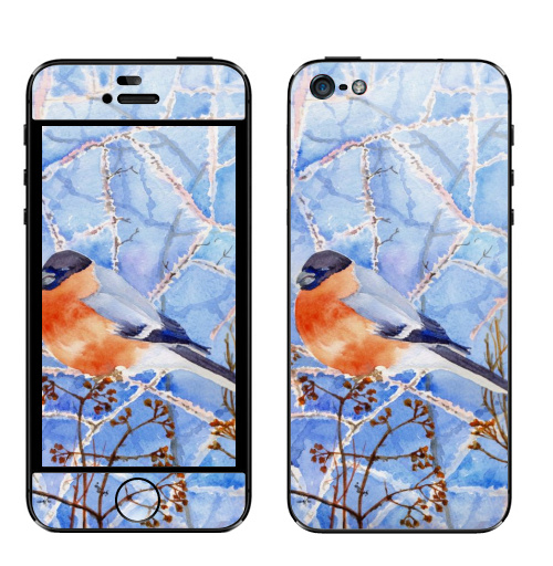 Наклейка на Телефон Apple iPhone 5 Румяный снегирь,  купить в Москве – интернет-магазин Allskins, весна, снегирь, птицы, спящий
