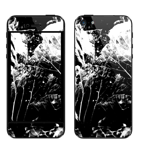 Наклейка на Телефон Apple iPhone 5 Растительное,  купить в Москве – интернет-магазин Allskins, черно-белое, лесной, природа, листья, Темная, черный, графика, растительный, растение