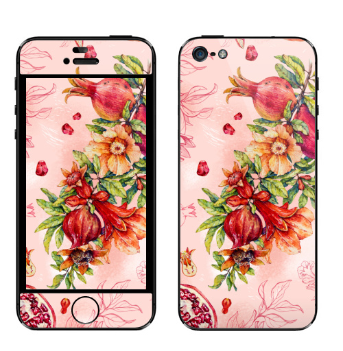 Наклейка на Телефон Apple iPhone 5 Гранат. Ботаническая акварель,  купить в Москве – интернет-магазин Allskins, акварель, любимой, красный, красота, романтика, гранаты, гранат, фрукты