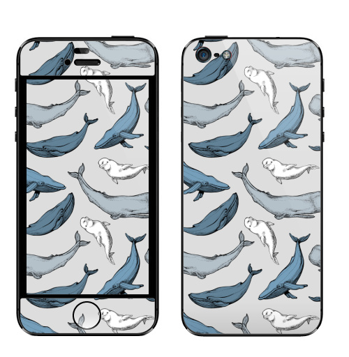 Наклейка на Телефон Apple iPhone 5 Киты повсюду,  купить в Москве – интернет-магазин Allskins, вода, океаны, синий, серый, горбатый, кашалот, паттерн, морская, киты