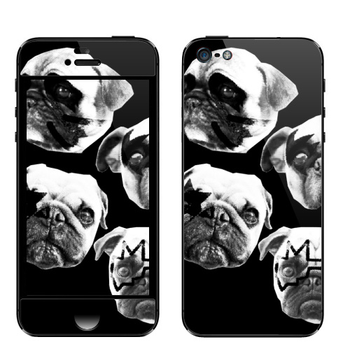 Наклейка на Телефон Apple iPhone 5 Мопсс,  купить в Москве – интернет-магазин Allskins, крутые животные, животные, Мопс, собаки, группа, музыка, милые животные, рокнролл