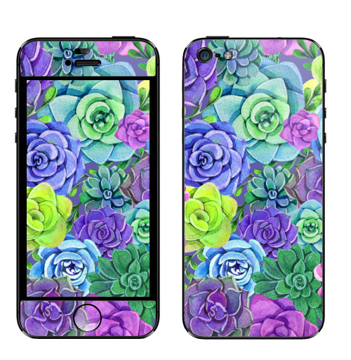 Наклейка на Телефон Apple iPhone 5 Акварельные суккуленты,  купить в Москве – интернет-магазин Allskins, суккулент, суккуленты, акварель, цветы, разноцветное, цвет
