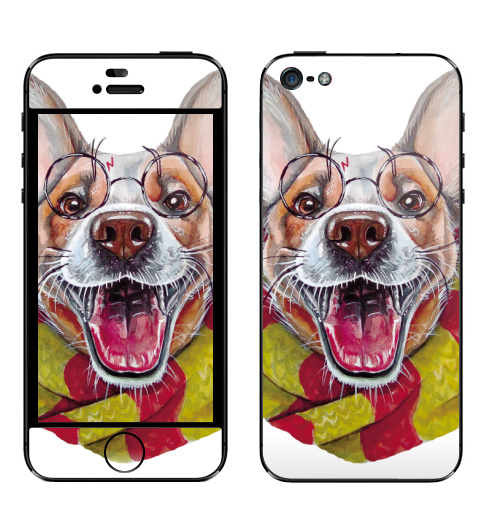 Наклейка на Телефон Apple iPhone 5 Гарри Дог Плоттер,  купить в Москве – интернет-магазин Allskins, крутые животные, Гарри, собаки