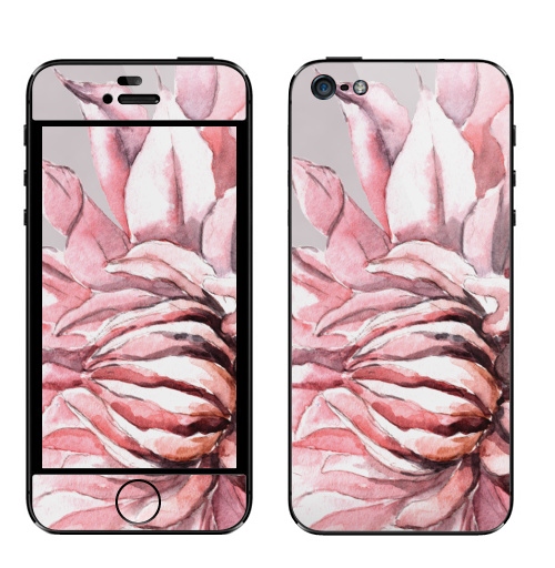 Наклейка на Телефон Apple iPhone 5 Георгины,  купить в Москве – интернет-магазин Allskins, акварель, пастель, пастельный, пастельные, нежно, розовый, георгин, сиреневый, крупный, запечатка