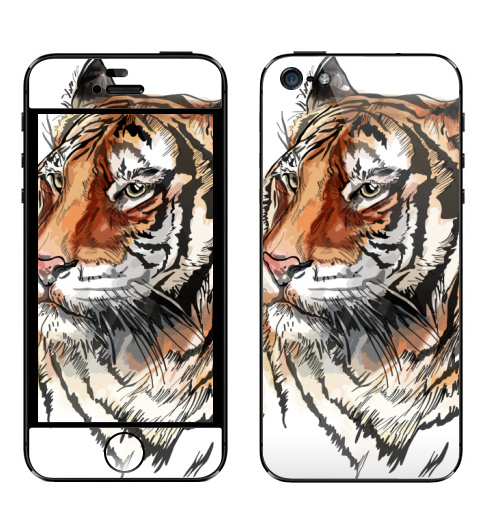 Наклейка на Телефон Apple iPhone 5 Тигр - Принтериум,  купить в Москве – интернет-магазин Allskins, тигры, тигра, кошка, тигриный, Тигрица, полоски, полосатая, джунгли, тропики