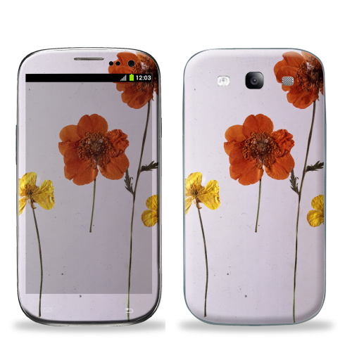 Наклейка на Телефон Samsung Galaxy S3 (i9300) Ромашки,  купить в Москве – интернет-магазин Allskins, цветы, ромашки, фотография, натуральное, без фотошопа