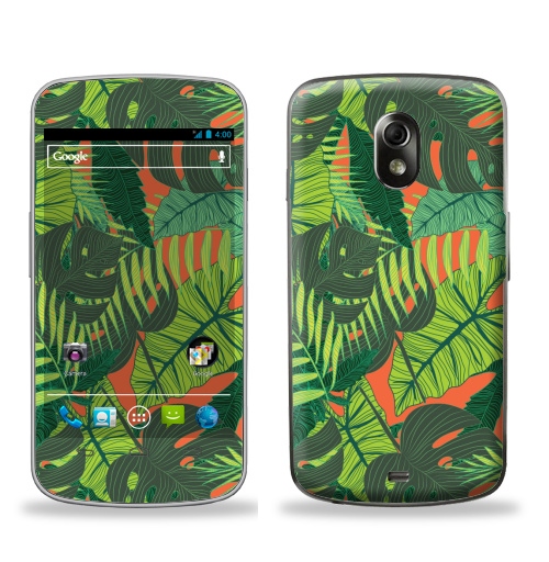 Наклейка на Телефон Samsung Galaxy Nexus (i9250) Тропический принт,  купить в Москве – интернет-магазин Allskins, дистья, монстера, монстры, птицы, цветы, текстура, паттерн, джунгли, тропики