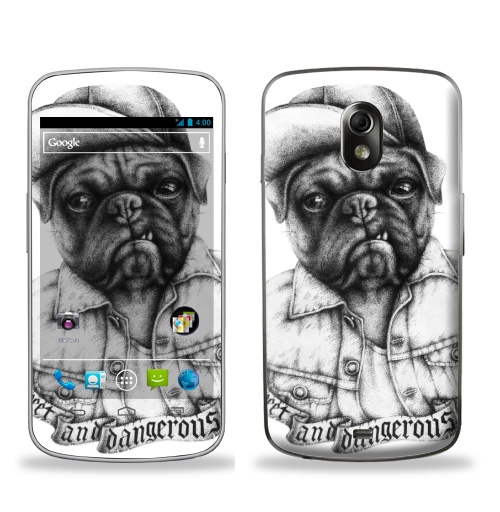 Наклейка на Телефон Samsung Galaxy Nexus (i9250) Опасный мопс,  купить в Москве – интернет-магазин Allskins, крутые животные, черное и белое, Мопс, собаки, мило, кепка, дерзкий, татуировки, оскал, черно-белое, хулиган
