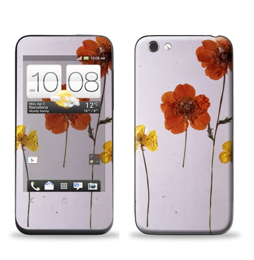 Наклейка на Телефон HTC HTC One V Ромашки,  купить в Москве – интернет-магазин Allskins, цветы, ромашки, фотография, натуральное, без фотошопа